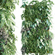 Vertical garden 16 - 3DOcean Item for Sale