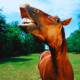 Horse Neighing Sound Pack