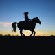 Horse Riding Sound Pack