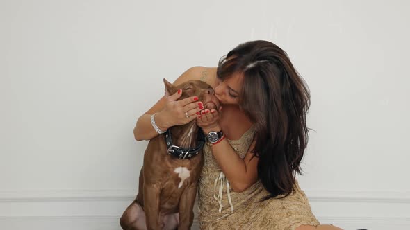 Glamour Woman Kissing Her American Pit Bull Terrier in Studio