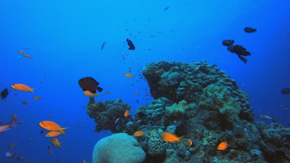 Blue Sea Water background Underwater