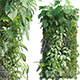 Vertical Garden 18 - 3DOcean Item for Sale