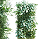 Vertical garden 17 - 3DOcean Item for Sale