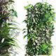 Vertical Garden 19 - 3DOcean Item for Sale