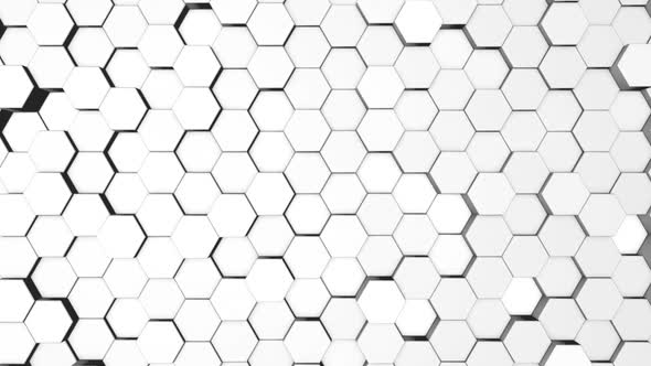 Hexagon Duplicate White Background