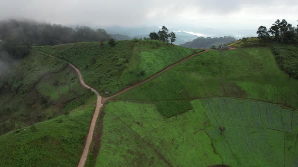 Aerial landscape view of greenery rainforest mountains on foggy day by drone