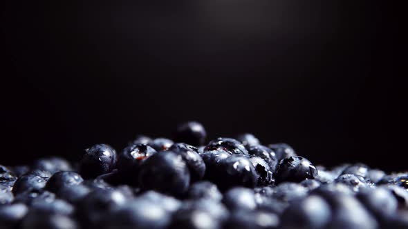 The Handful of Ripe Fresh Juicy Blueberry in the Artificial Light