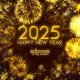 New Year Countdown - VideoHive Item for Sale