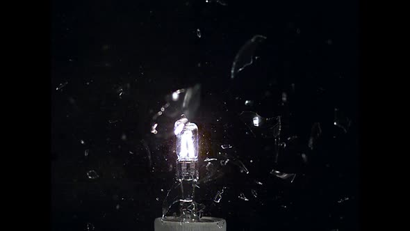 700004 Exploding light bulb  against black background, slow motion