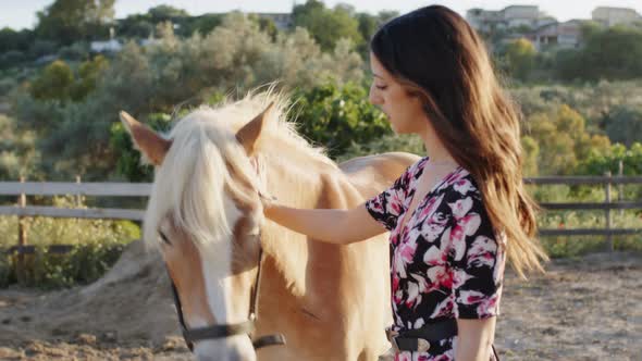 Happy Woman Caress Brown Horse