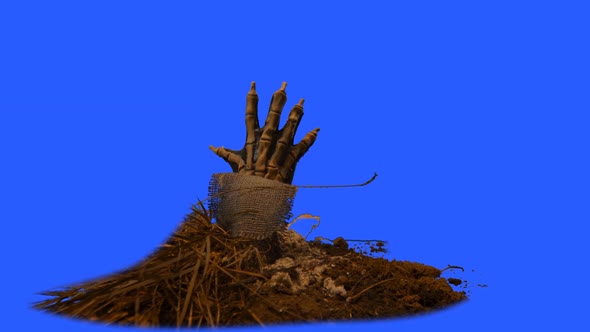 Zombie hand emerging from the grave