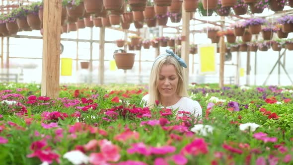 woman takes photos of blooming flowers and checks the plants on phone