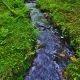 Calming Small Stream Background