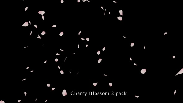 Cherry Blossom 2 Pack  alt