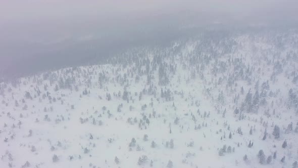 Volosyanaya Hill in Winter