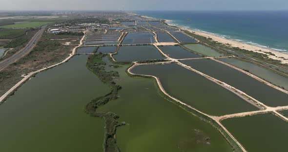 Aerial view of vast Fish farm pools.