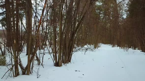 Winter, February, Quarry And River 16