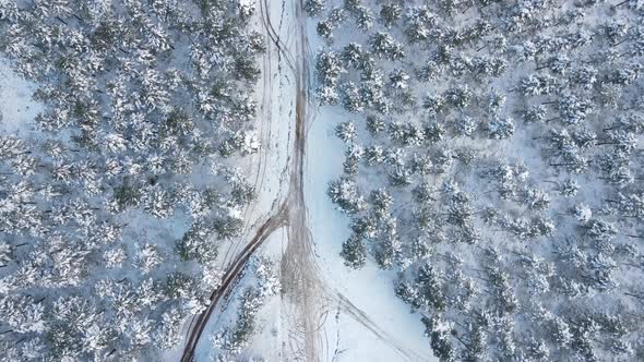 Frozen Trees Winter Road Aerial View