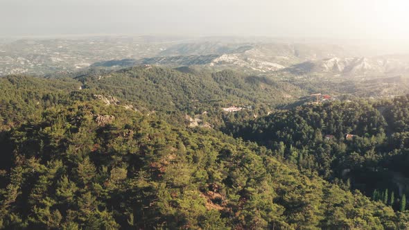 Aerial View Sunny Evergreen Forest on Mountain Range