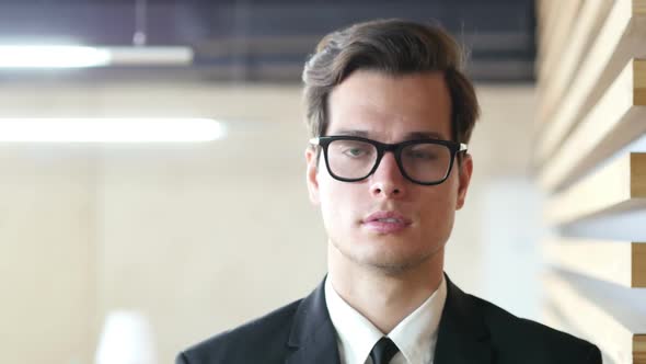 Portrait of Businessman in Glasses in Office