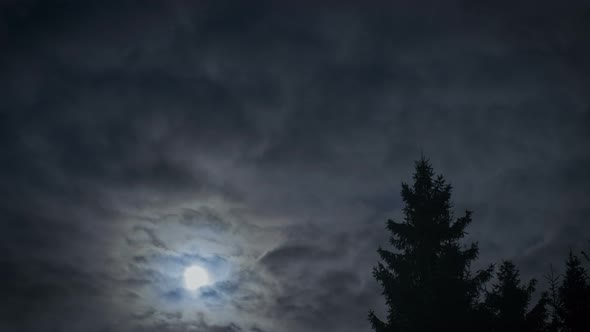 Moon in the night sky timelapce