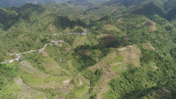 Rice Terraces Mountains