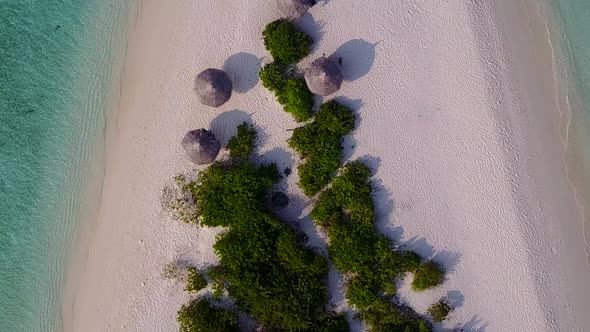 Aerial drone landscape of lagoon beach wildlife by sea with sand background