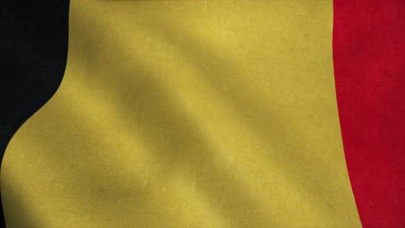 Belgium Flag in Slow Motion Animation Waving in the Wind Realistic