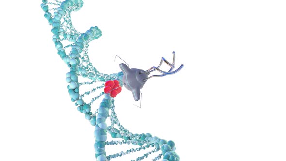 Medical Nanobots Repair a Damaged Section of DNA
