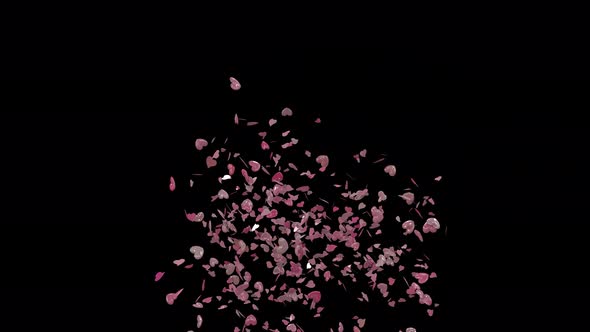 Valentine Confetti Side