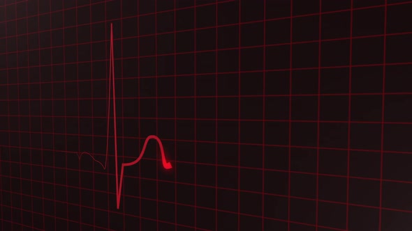 Heartbeat Display Pulse Animation HD