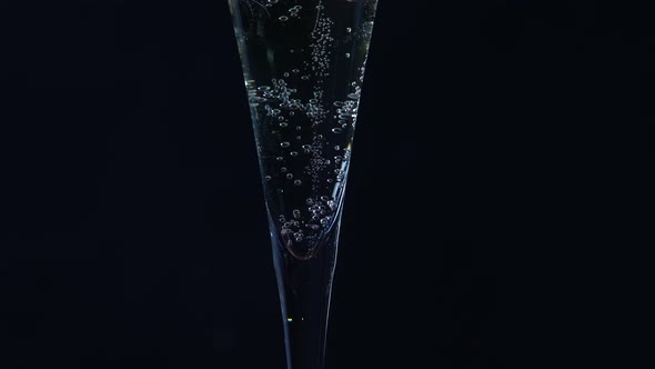 Bubbles in a Glass of Champagne