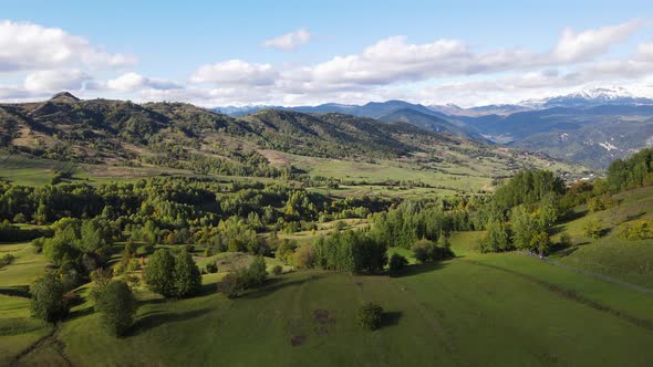 Alpine Meadow