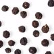 Peppercorn On White Background - VideoHive Item for Sale