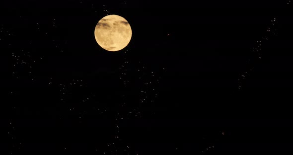 A firework in front of the Super full moon in the french sky