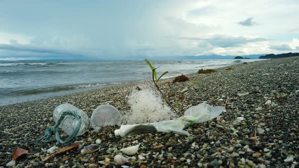 A Beach Is Polluted with Plastic and Waste.