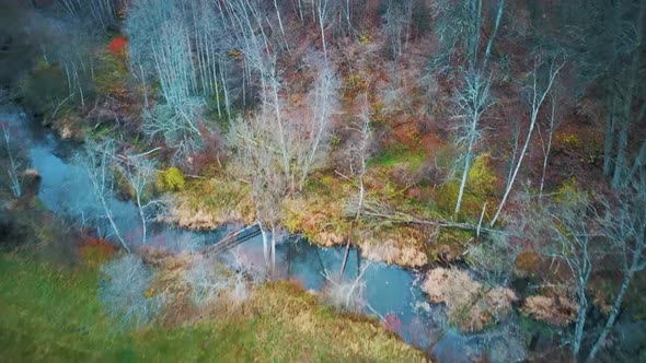 River and Colorful Forest Woodland at Autumn Trees Forest Landscape Aerial Shot
