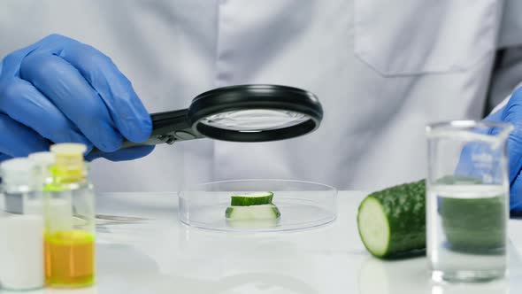 Medical Scientist Specialist Cutting Cucumber with Scalpel and Looking with Magnifying Glass in Food