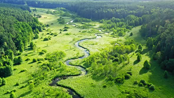 Beautiful river and green forest in summer, aerial view