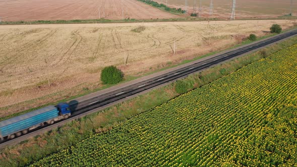 Aerial View of a Truck Driving Along a Rural Road Along a Sunflower Field on a Summer Morning