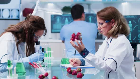 Female Biologist Taking Notes and Looking at Strawberries Samples