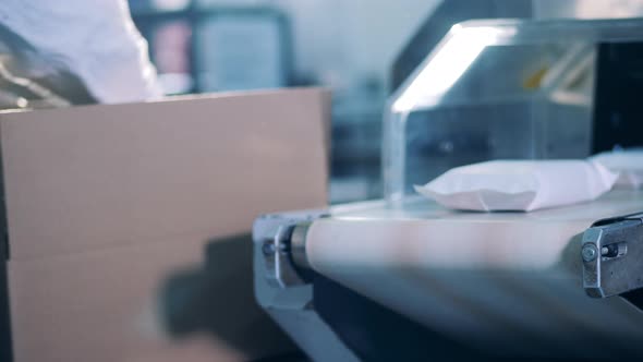 Factory Worker Is Putting Packages Into Boxes