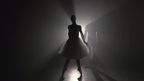Graceful Ballerina and Her Male Partner Dancing Elements of Classical or Modern Ballet in Dark with