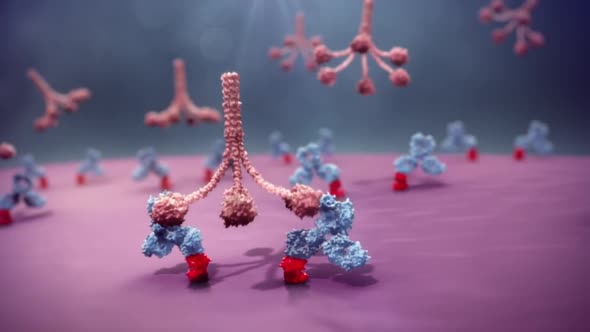 Plasma cell neoplasms occur when abnormal plasma cells form cancerous tumors in bone or soft tissue