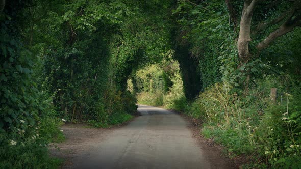 Scenic Rural Road In The Summer