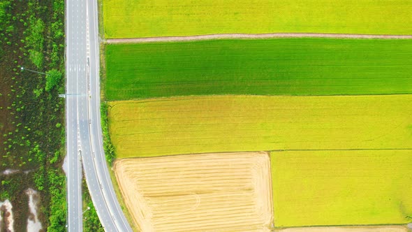 Drone flying over the beautiful green and yellow rice field scenery