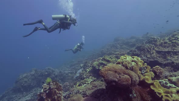 Scuba Diver Diving Underwater Blue Sea Over Beautiful Coral Reef and Fish. Divers Swimming