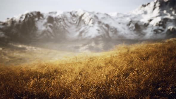 Dry Grass and Snow Covered Mountains in Alaska