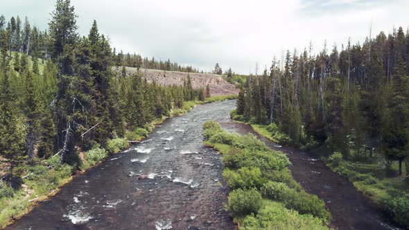 Yellowstone River in the Middle of the Forest on a Cloudy Day