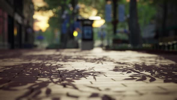 Quiet City Park with Trees and Benches